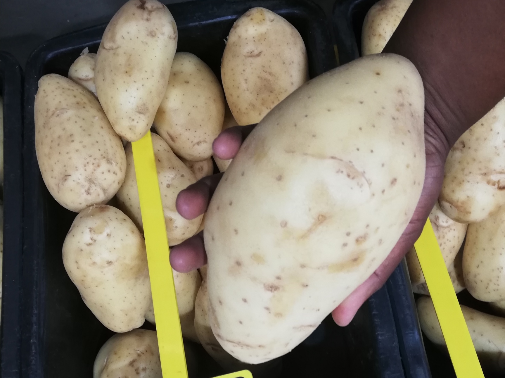 Tyson 10kg from R47 to R57