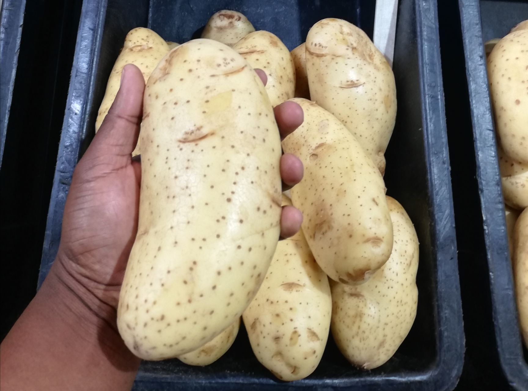 Mondial R67.00 10Kg large